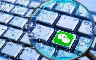 模板小程序和定制小程序有啥區(qū)別