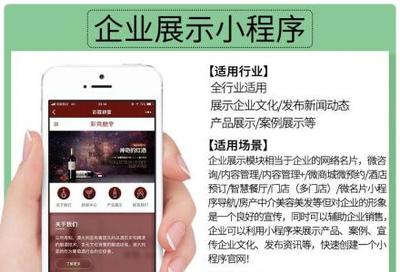 小程序定制開(kāi)發(fā)、微信公眾號(hào)、推廣排名、吸粉